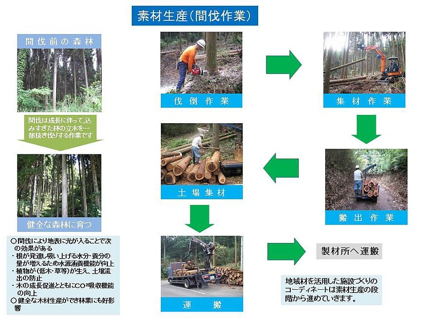 素材生産（間伐作業）